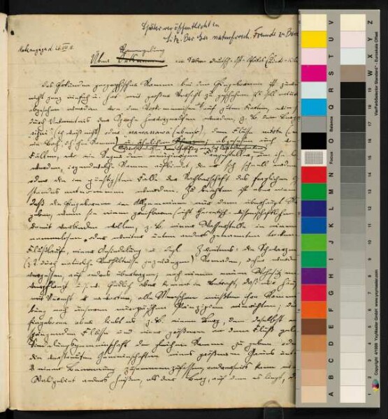 Entwürfe zu Veröffentlichungen über die Tendaguru-Expedition 1911