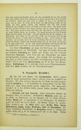 8. Erzeugnisse (Produkte)