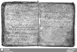 Anonymus: Laudate Dominum