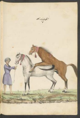 Illustration: f. 85v-86r