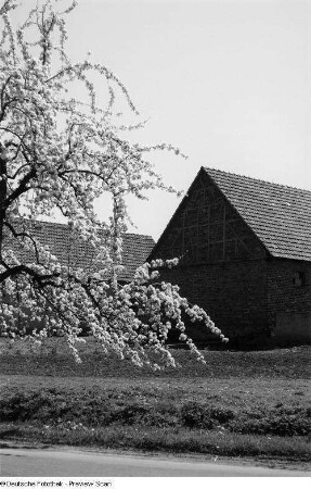 Blick auf ein Gehöft, mit einem blühenden Baum davor