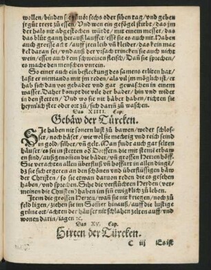 Das XIIII. Cap. Gebäw der Türcken.