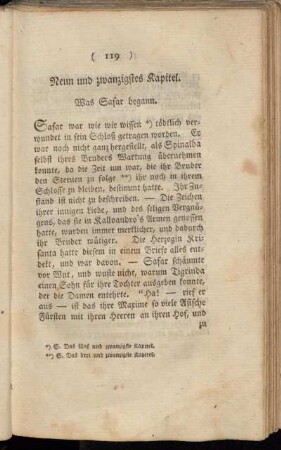 Neun und zwanzigstes Kapitel. Was Safar begann.