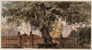 Alter Baum mit Ausblick auf Holzzaun und Gebäude