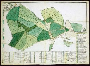 o. Gesamttitel [Kartenwerk des Johann Lorenz Schrotz betr. Gemarkungen und Gemarkungsgrenzen in der Herrschaft Wiesensteig]: "Plan über Schloß, Burgstall und Maierhof Reussenstein"