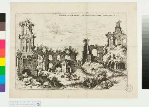 Ruinen des Palatin und des Septizoniums