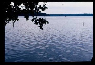 Stechlin-See 18.8.80.