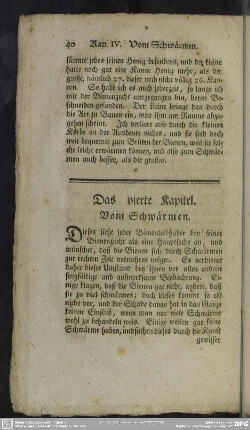 Das vierte Kapitel. Vom Schwärmen