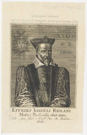 Bildnis des Ioannis Riolani