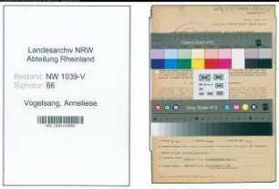 Entnazifizierung Anneliese Vogelsang , geb. 17.04.1921 (Angestellte)