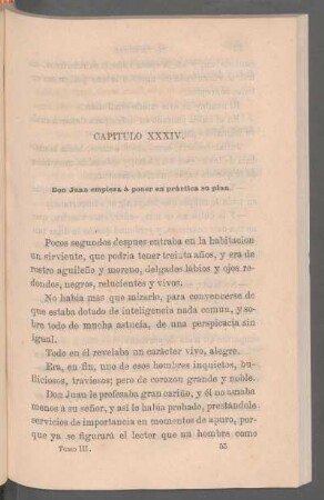 Capítulo XXXIV. - Don Juan empieza á poner en práctica su plan.