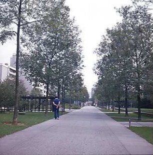 Hansjakob, Gottfried; München - Neuperlach Mitte; Wohnring Neuperlach - Grünanlage mit Baumallee und Fußgängerbereich