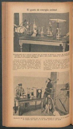 El gasto de energía animal