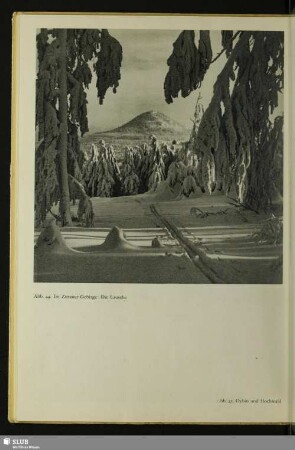 Im Zittauer Gebirge: Die Lausche
