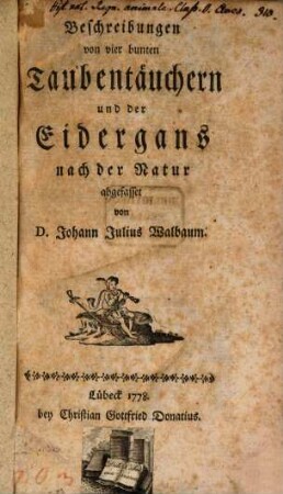 Beschreibung von vier bunten Taubentauchern