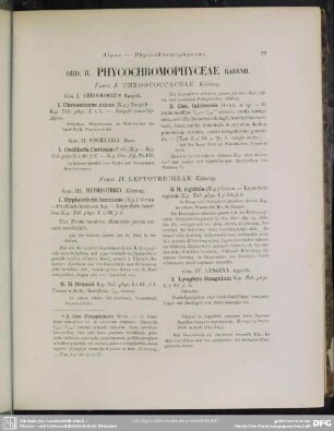 Ord. II. Phycochromophyceae