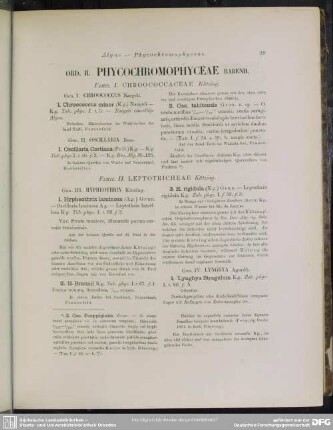 Ord. II. Phycochromophyceae