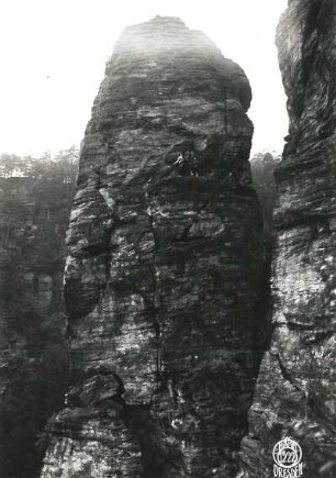 Böhmische Schweiz, Elbtal, rechtes Ufer (Labské údolí - Pravý břeh ). Gamsspitze (Kamzičí hrot). Seilschaft Schöne im Elbweg (Labská cesta, VIIa)