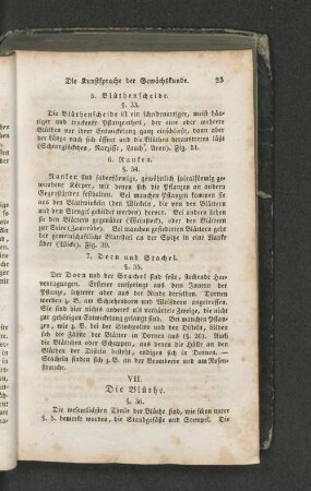 VII. Die Blüthe.