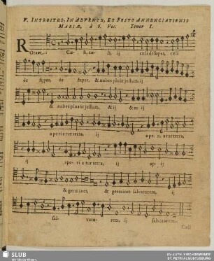 V. Rorate