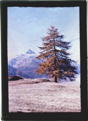 Im Engadin - Piz d´Essen im Abendrot