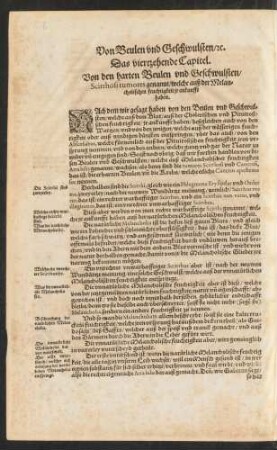 Das viertzehende Capitel.