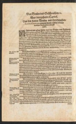 Das viertzehende Capitel.