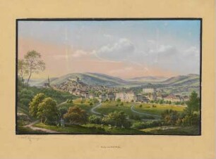 Tübingen. Ansicht vom Österberg : Kolorierte Lithographie