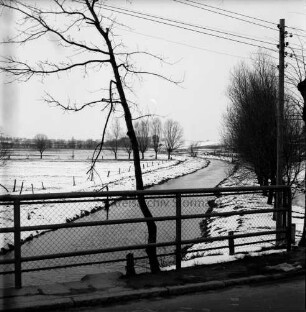 Heilsau: im Vordergrund Brückengeländer und Baum: rechts Baumreihe und Strommast: Winter