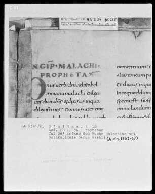 Bibliorum sacrorum pars, libri prophetarum — Initiale O(nus verbi), Folio 265recto