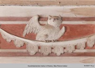 Vögel : Eule