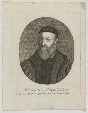 Bildnis des Gabriel Fallopius