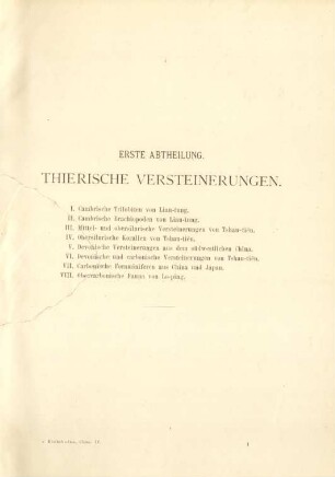 Erste Abtheilung. Thierische Versteinerungen