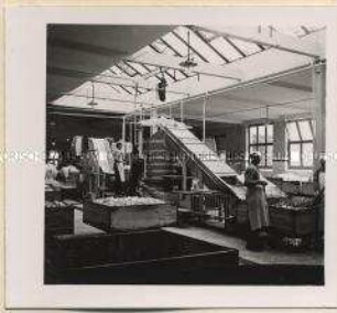 Bünde, Margarinefabrik W. Lindemann KG