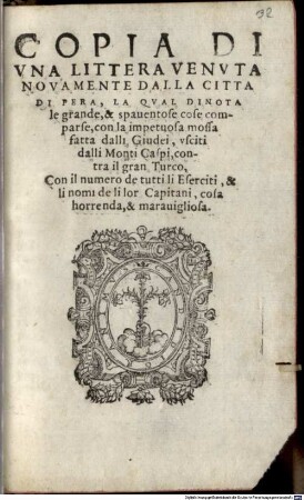 Copia d'una lettera dalla città di Peru, la qual dinota la Mossa fatta dalli Giudei ... contra il Gran Turco