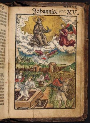 Die Offenbarung Johannis. XV.