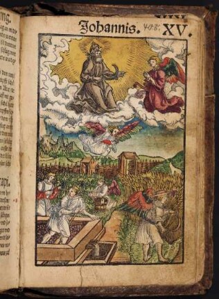 Die Offenbarung Johannis. XV.