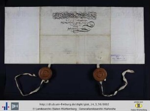 Gesamtansicht, verso