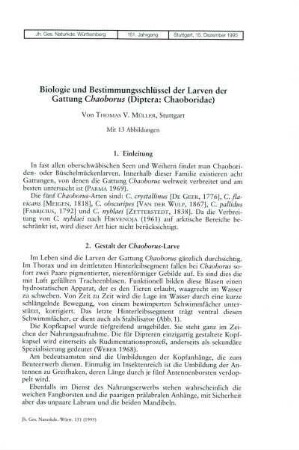 Biologie und Bestimmungsschlüssel der Larven der Gattung Chaoborus (Diptera: Chaoboridae)