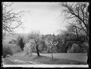 Kleinopitz bei Tharandt
