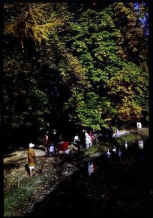 Donaueschingen: bunte Leute unter Herbstbaum im Fürstlich Fürstenbergischen Park