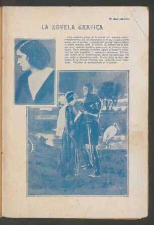 La novela gráfica