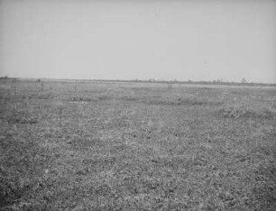 Tundra bei Taraika : Landschaftsausschnitt