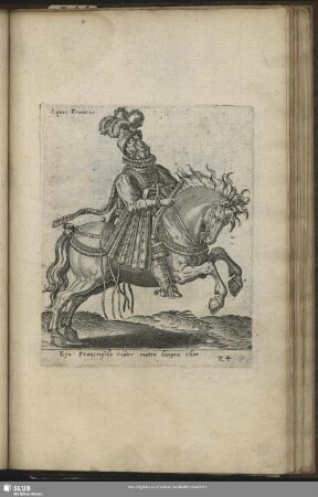 Eques Francus