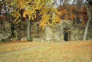 Teile der Burganlage Burg Greifenstein
