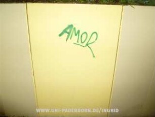 AMOR