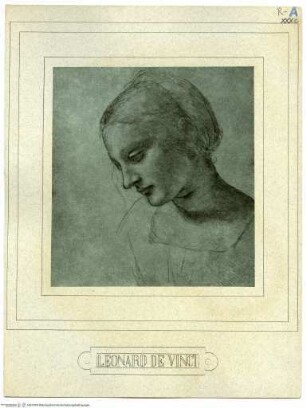 Weiblicher Kopf - Kopf einer niederblickenden Frau