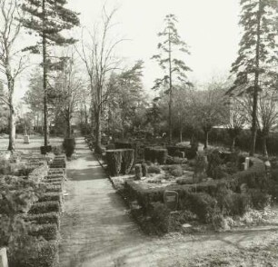 Friedhof Serkowitzer Straße