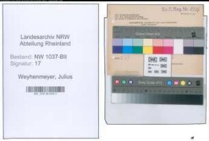 Entnazifizierung Julius Weyhenmeyer , geb. 00.00.0000 ()