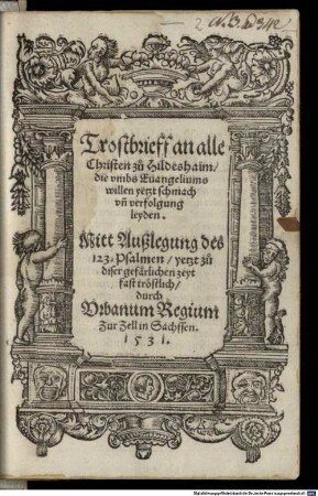 Trostbrieff an alle Christen zu Hildeshaim, die umbs Evangeliums willen yetzt schmach un[d] Verfolgung leyden